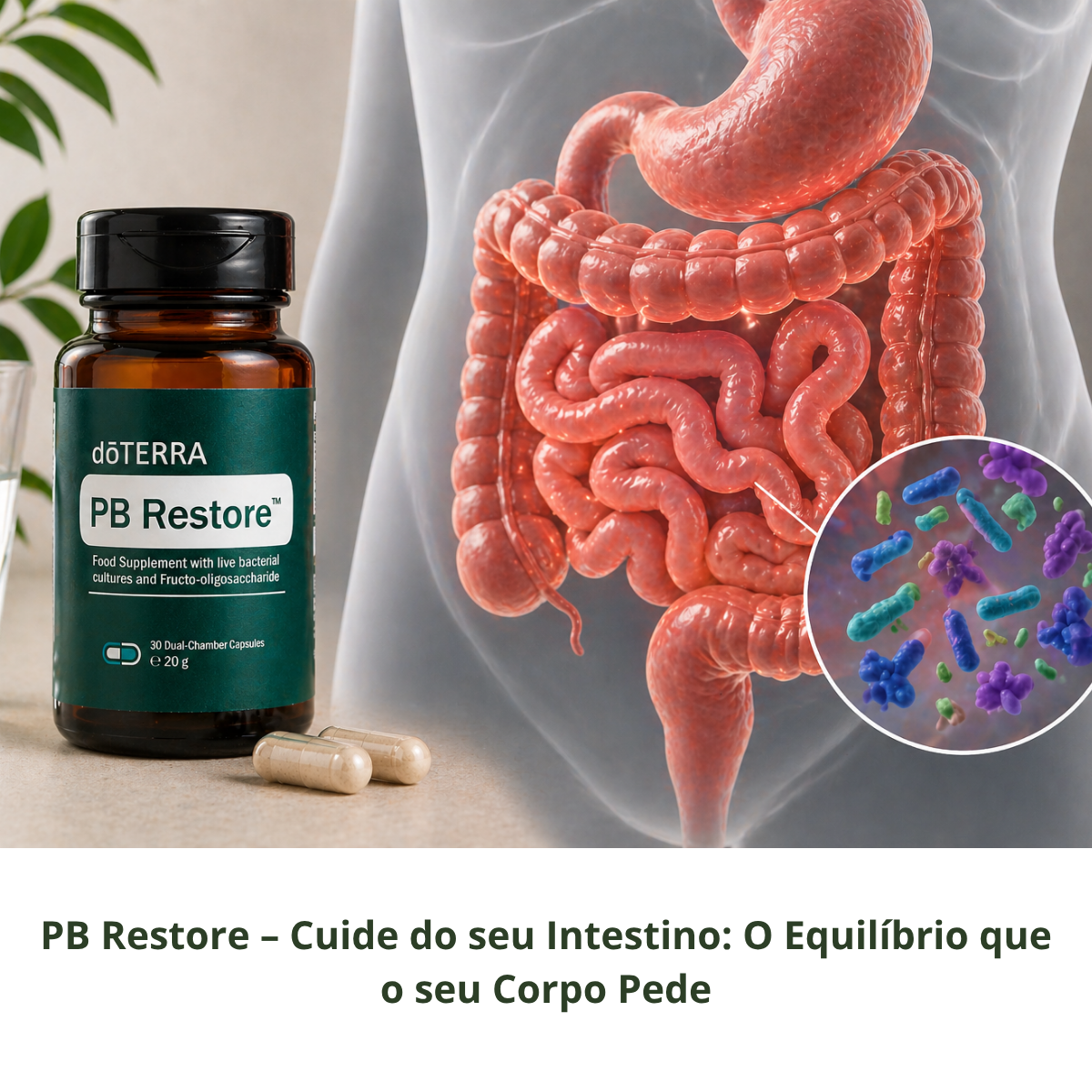 Probiótico PB Restore – Cuide do seu Intestino: O Equilíbrio que o seu Corpo Pede