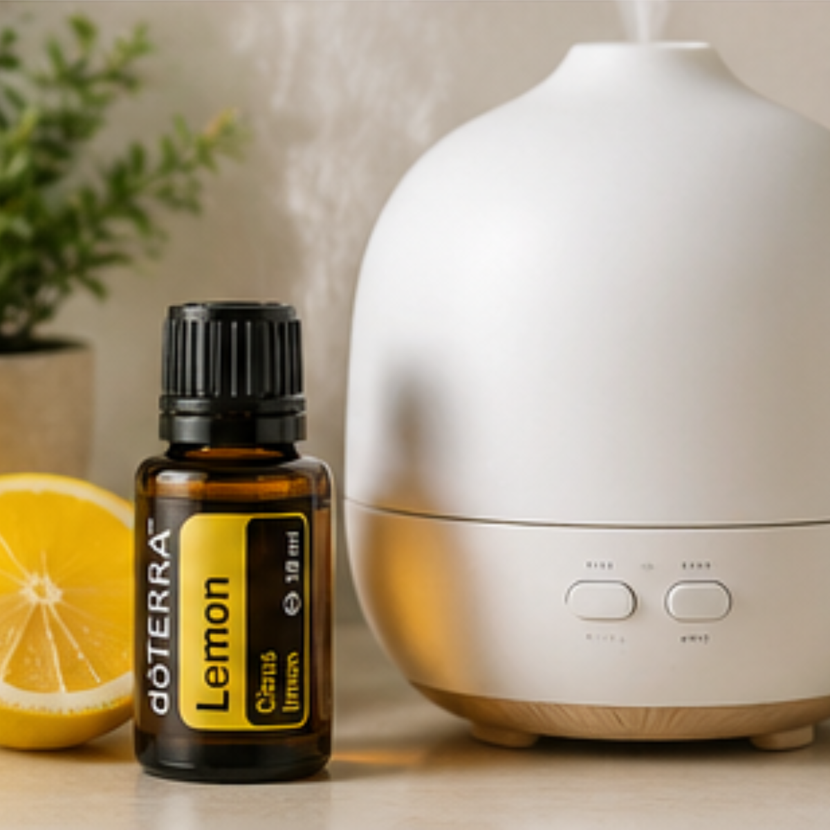 Óleo Essencial de Limão (Lemon) – O Detox Natural para o Seu Corpo
