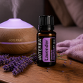 Óleo Essencial de Lavanda – O Seu Refúgio de Tranquilidade