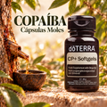 Copaíba dōTERRA: descubra as Cápsulas Moles CP+
